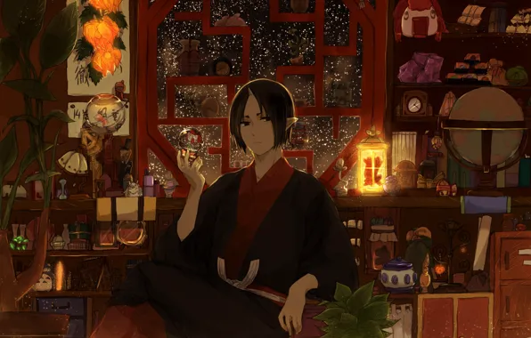 Anime, the demon, art, guy, Hoozuki no Reitetsu, Cold-Blooded Hozuki