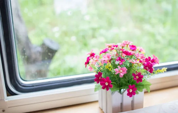 Picture flowers, window, sill, pink, pot
