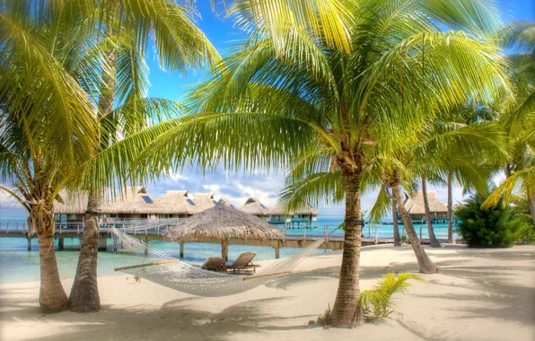 Picture sand, sea, beach, palm trees, hammock, Bungalow
