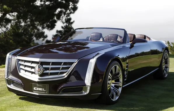 Black, concept, the concept, convertible, the front, cadillac, Cadillac, cool