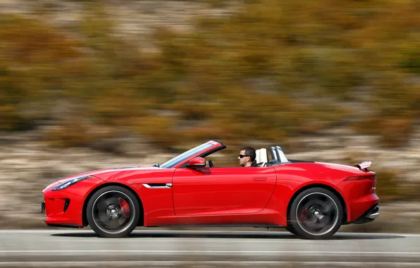 Picture auto, Wallpaper, speed, Jaguar, side view, F-Type, V8 S