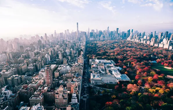 Autumn, the city, Park, USA, New York