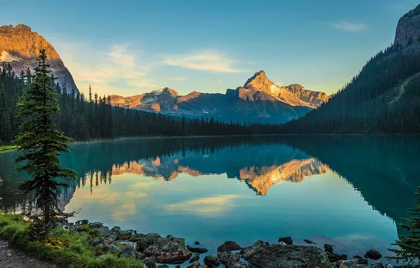 Forest, clouds, mountains, lake, reflection, blue, stones, shore
