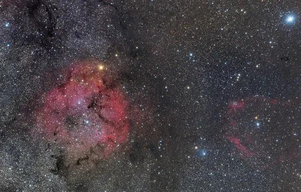 Nebula, emission, IC 1396, in Cepheus