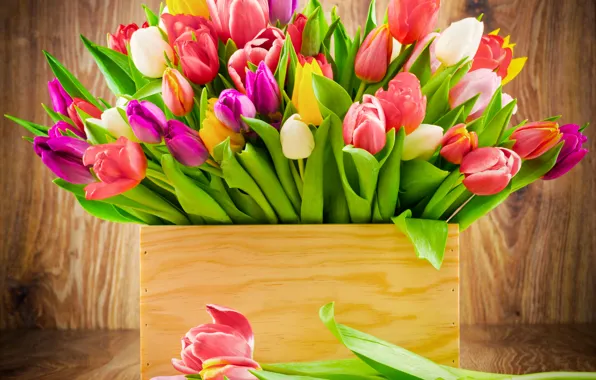 Picture flowers, box, the colors of the rainbow, a bouquet of tulips