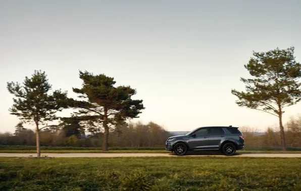 Picture the sky, trees, SUV, Land Rover, side view, land Rover, Land Rover Discovery Sport HSE