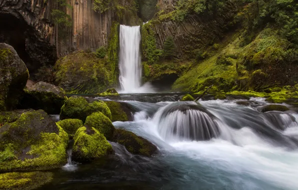 River, stones, rocks, waterfall, Oregon, Oregon, Toketee Falls, Waterfall Totti