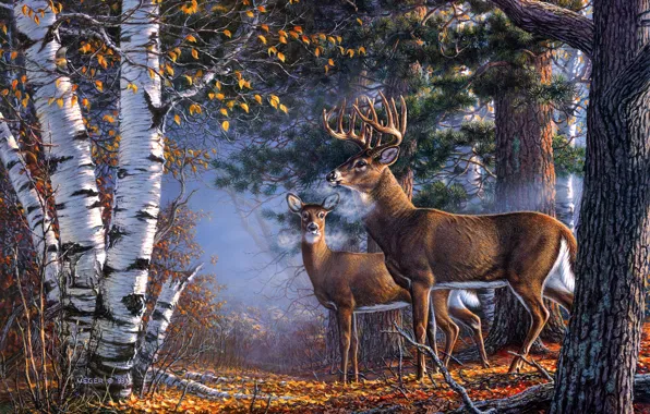 Autumn, forest, figure, picture, deer, art, pair, painting