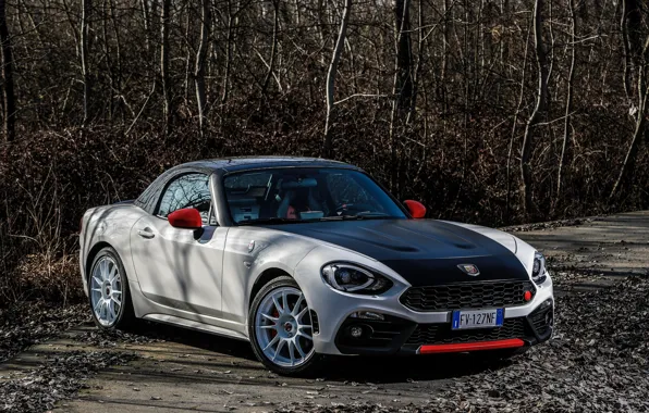 Picture foliage, Roadster, spider, black and white, Abarth, 124 Spider, 2019, Rally Tribute