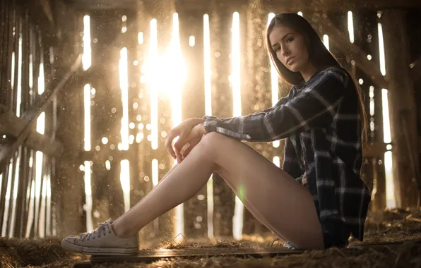 Picture look, girl, light