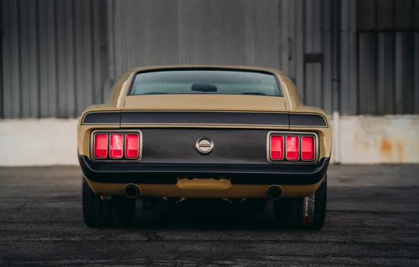 Picture Mustang, Ford, Boss 302, rear view, 1970, SpeedKore, RDJ
