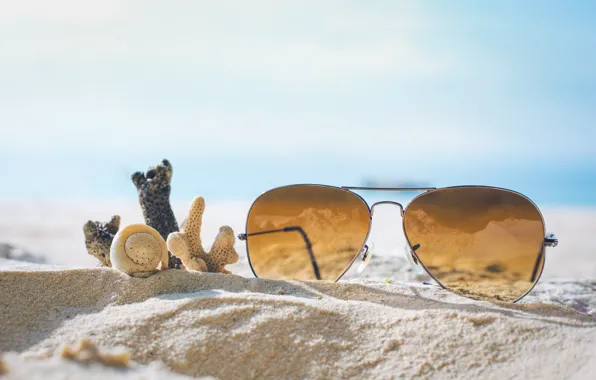Sand, sea, beach, summer, stay, glasses, shell, summer