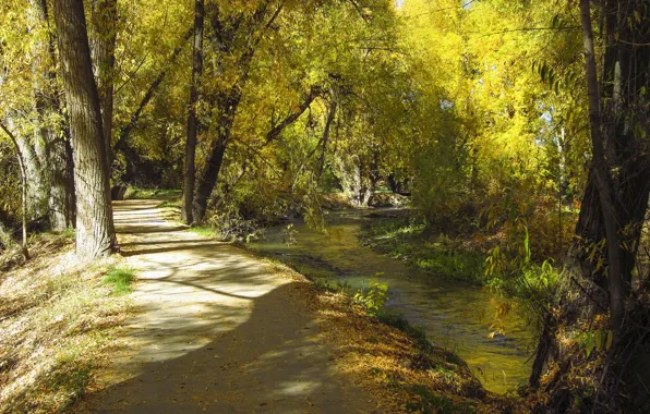 Picture autumn, track, Utah, USA, USA, autumn, path, Utah