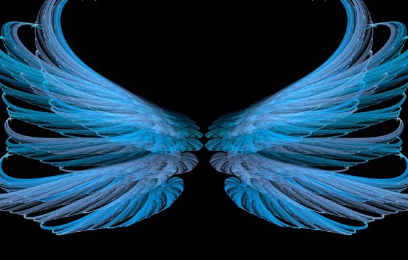 Picture background, pattern, wings