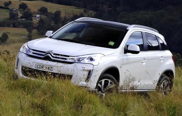 Picture white, grass, Citroen, Citroen, the front, crossover, AirCross
