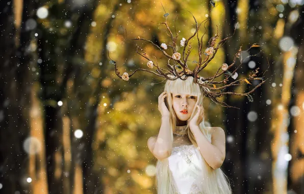 Picture forest, girl, background