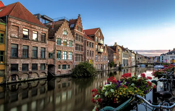 Picture flowers, reflection, home, channel, Belgium, Belgium, Gent