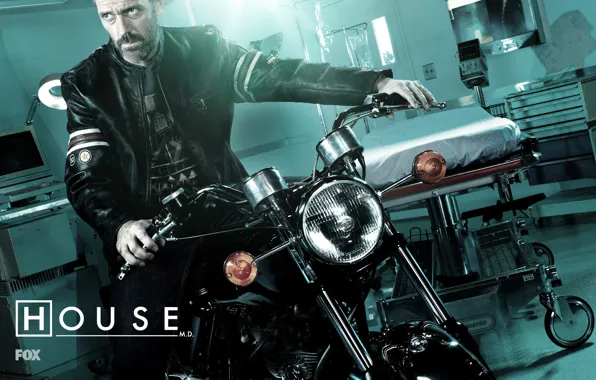 Picture the series, house, house m.d., house