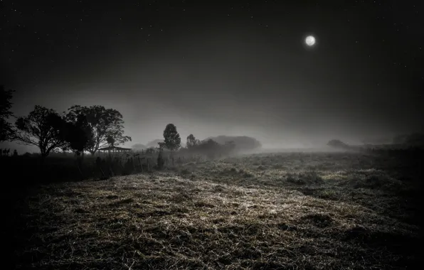 Night, fog, the moon, stars