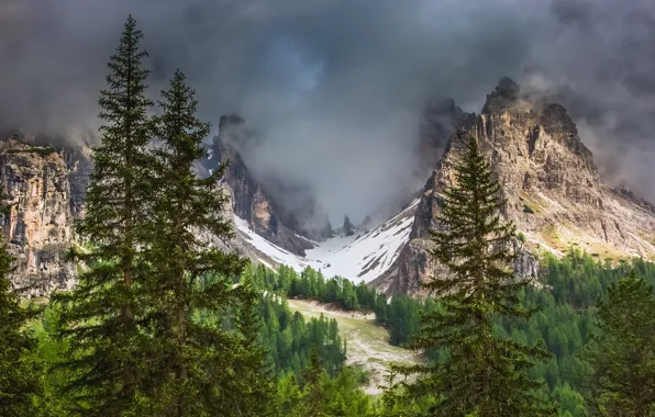 Picture clouds, trees, landscape, mountains, nature, Alps, forest