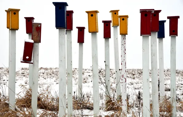 Picture snow, colored, stick, birdhouses
