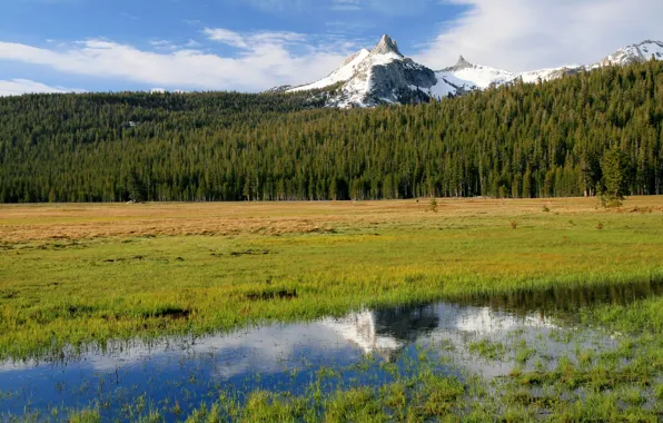 Picture nature, CA, USA, Yosemite, Cathedral Peak