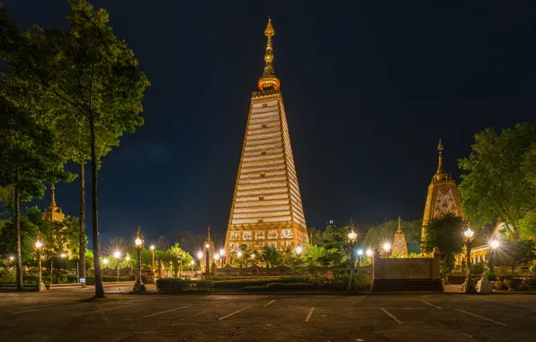 Trees, night, design, lights, tropics, Park, tower, lights
