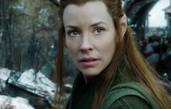 Girl, elf, Evangeline Lilly, Tauriel, The Hobbit: The Battle of the Five Armies, The hobbit: …