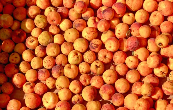 Fruit, peaches, ripe