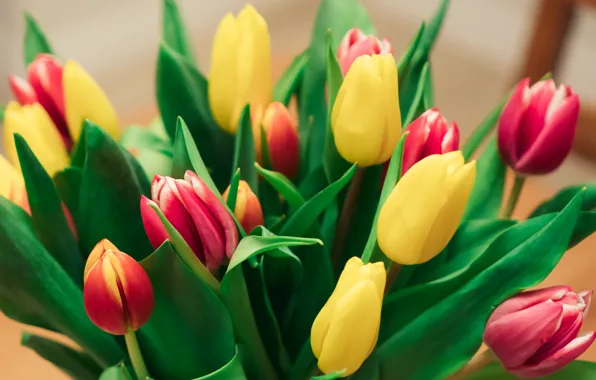 Picture beautiful, tulips, bouquet of flowers