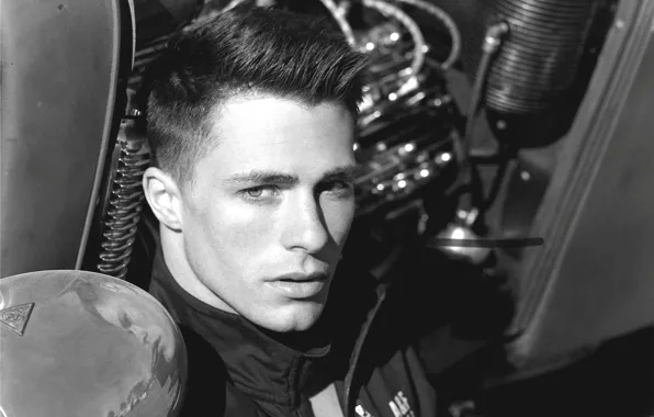 Picture actor, black and white, Colton Haynes