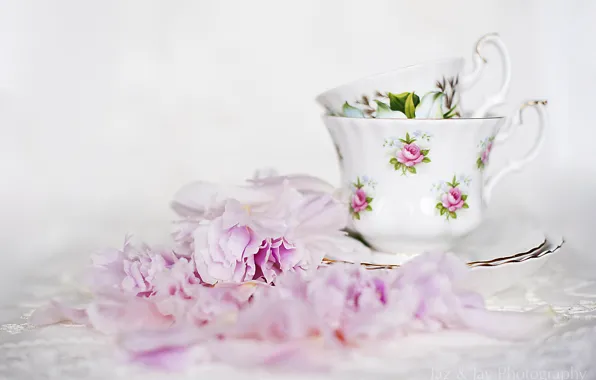 Picture flowers, Cup, dishes, pink, peonies