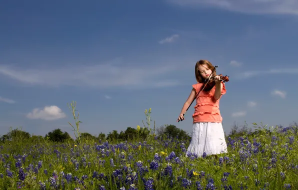 Field, mood, violin, girl
