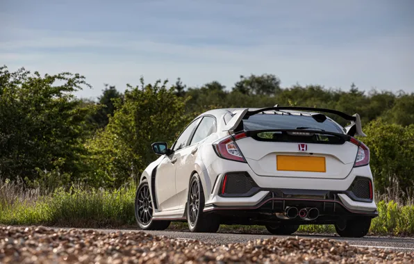 Picture white, Honda, feed, hatchback, the five-door, 2019, Civic Type R, 5th gen
