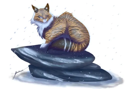 Snow, stone, art, white background, beast, lynx