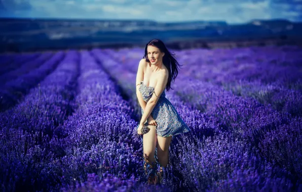 Field, girl, flowers, neckline, legs, lavender, Katrina Blue
