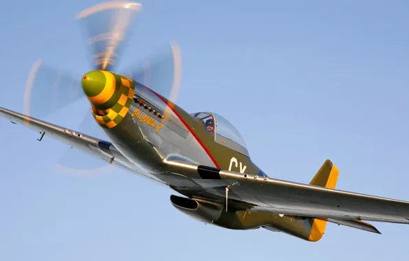 The sky, flight, retro, the plane, fighter, pilot, propeller, P-51 Mustang