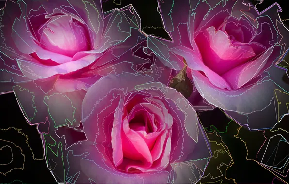 Flowers, Wallpaper, comp. graphics