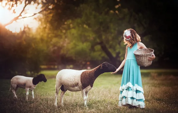 Background, sheep, girl