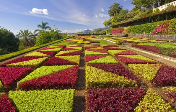Picture Portugal, Madeira, Formal gardens