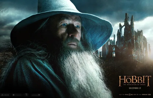 Picture hobbit: the desolation of smaug, the hobbit: the desolation of Smaug, ian mckellen, Ian McKellen