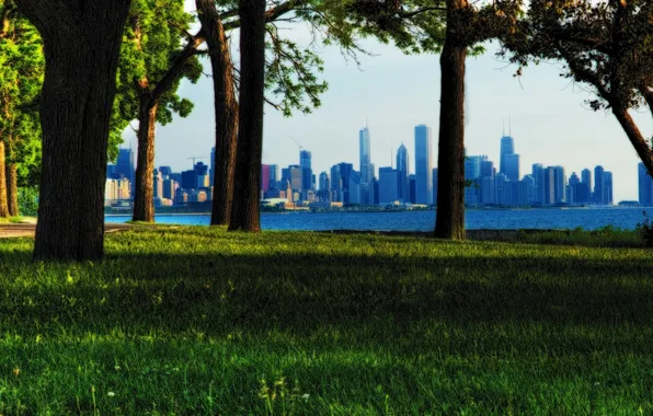 Picture summer, grass, trees, Park, USA, Chicago, Chicago, illinois