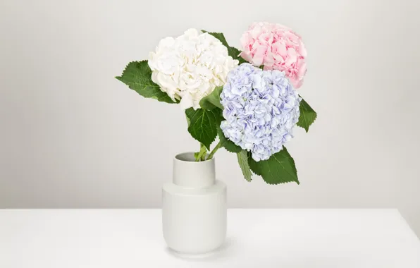 Picture bouquet, vase, hydrangea