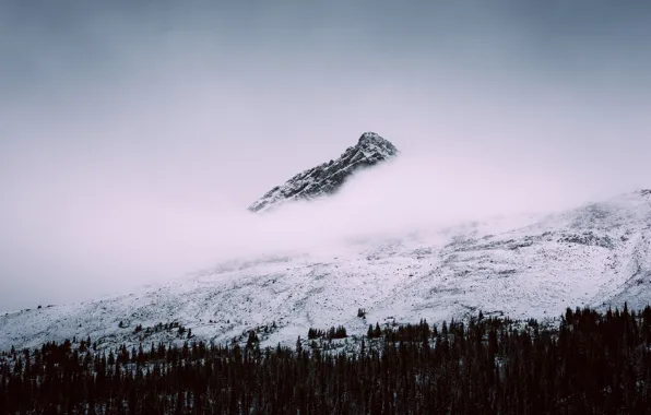 Alberta, Canada, winter, clouds, mountain, snow, Jasper National Park, Canadian Rockies