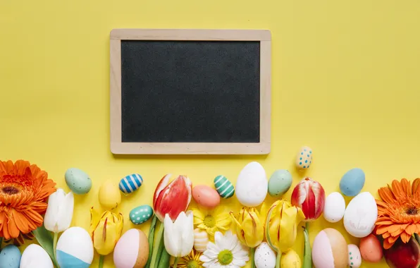 Grass, flowers, chamomile, spring, colorful, Easter, tulips, chrysanthemum