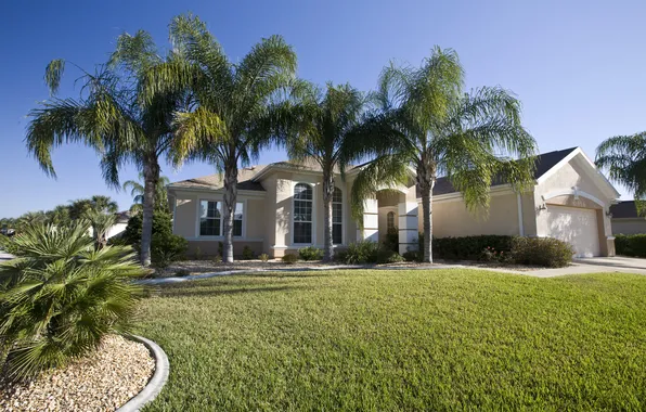 Picture grass, the city, house, palm trees, photo, lawn, FL, USA
