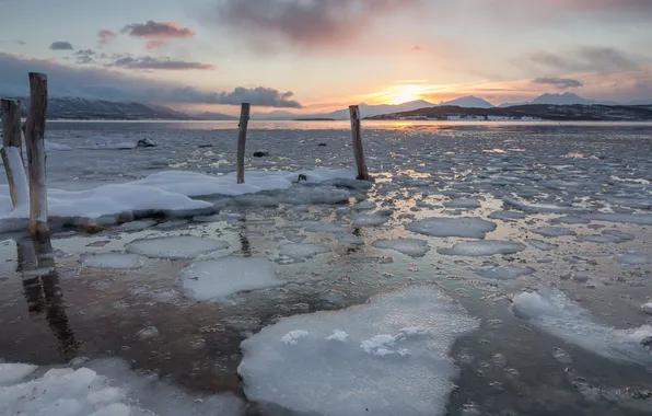 Cold, ice, sunset, lake, posts, ice