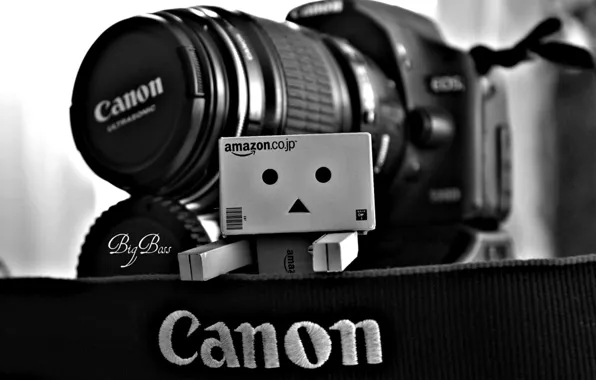 The camera, danbo, canon, box