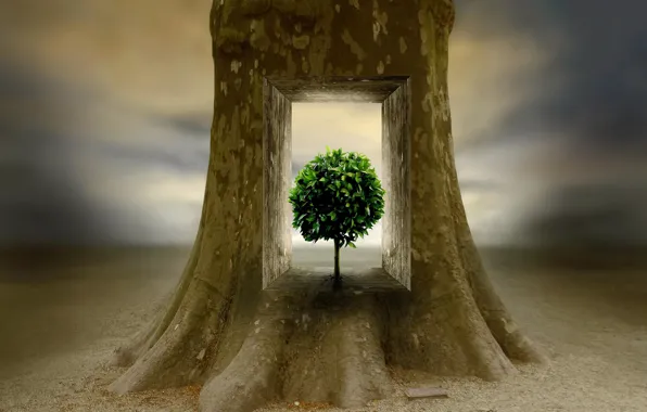 Picture tree, tree, inner world, inner peace, Ben Goossens