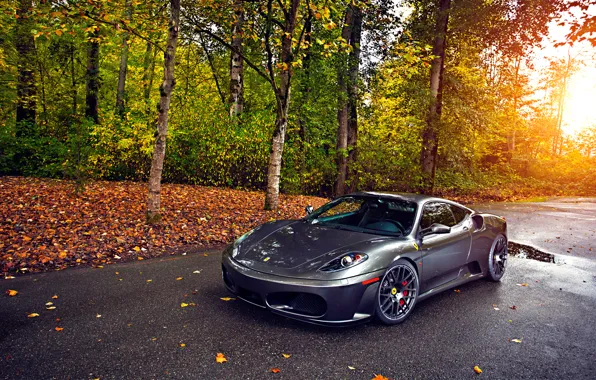 Picture Ferrari, Green, Sun, Autumn, Tuning, asphalt, Silver, 430